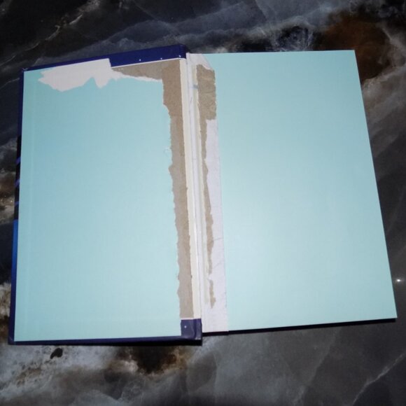 DogDog Man and Cat Kid: From the Creator of Captain Underpants - ACCEPTABLE - Picture 2 of 4